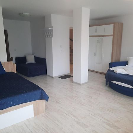 Vila Alba Braşov Eksteriør bilde