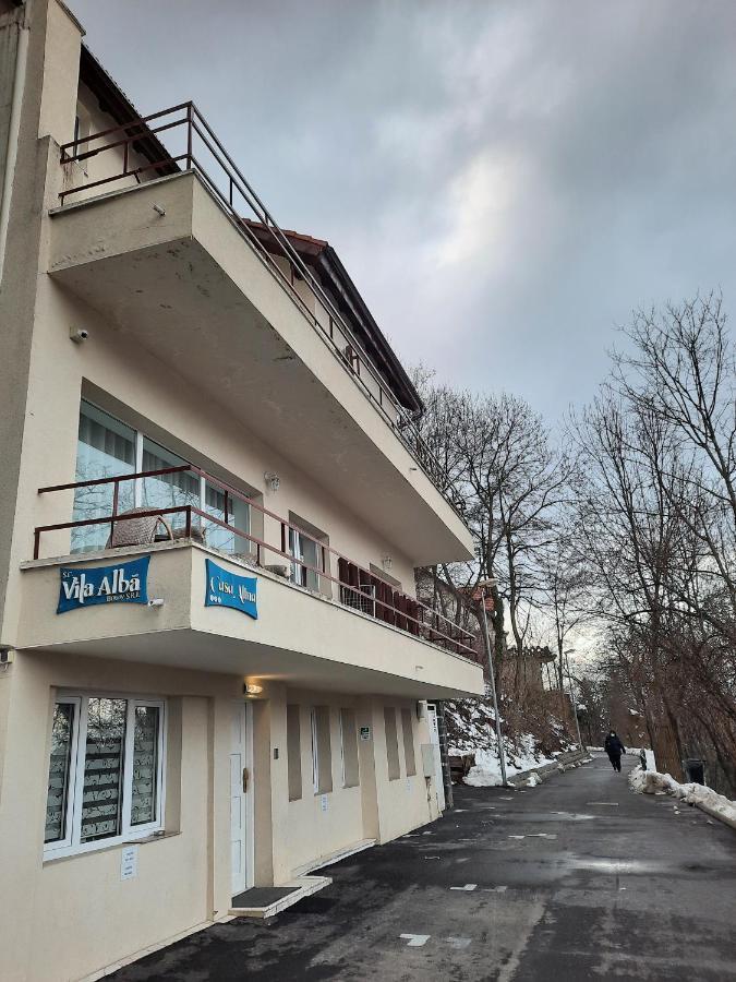 Vila Alba Braşov Eksteriør bilde